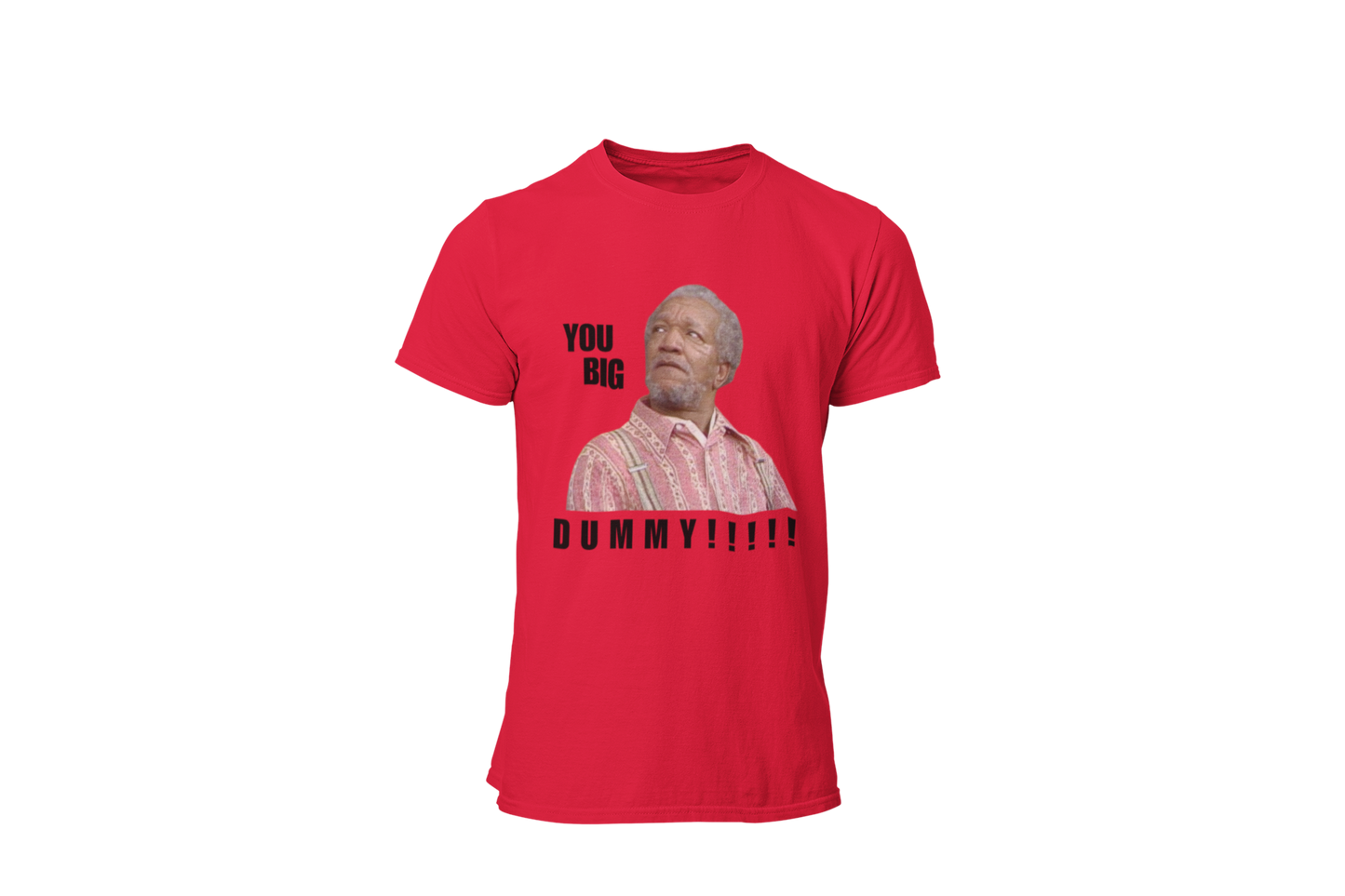 "YOU BIG DUMMY!!!!!!" CUSTOM DESIGN GRAPHIC 2