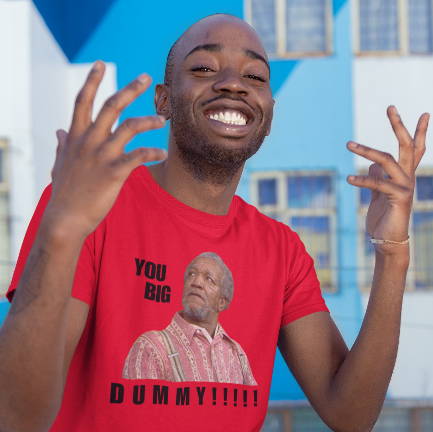 "YOU BIG DUMMY!!!!!!" CUSTOM DESIGN GRAPHIC 2